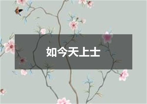 如今天上士