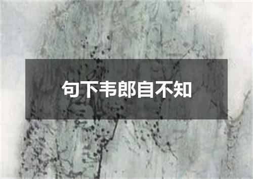 句下韦郎自不知
