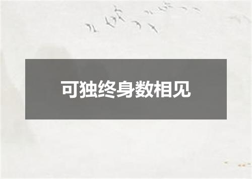 可独终身数相见