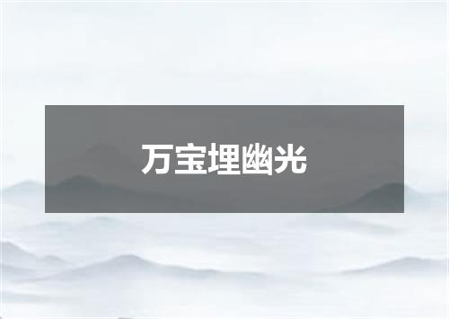 万宝埋幽光
