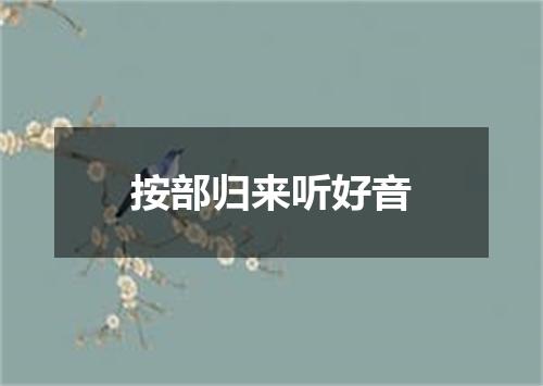 按部归来听好音