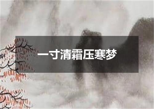 一寸清霜压寒梦