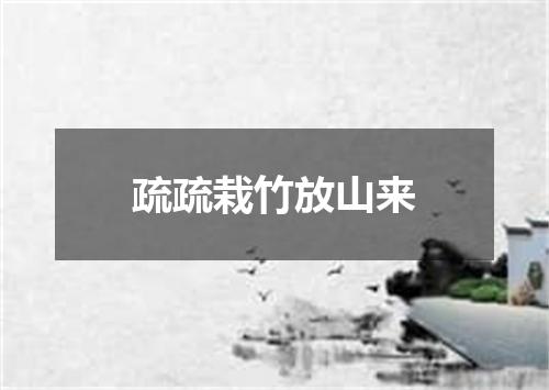疏疏栽竹放山来