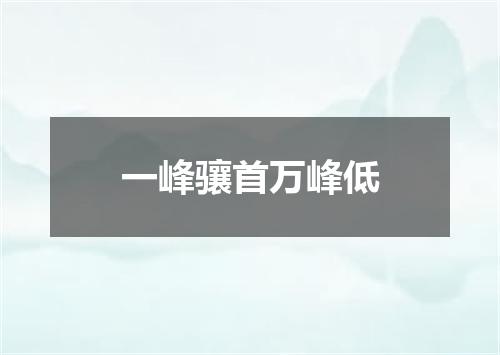 一峰骧首万峰低