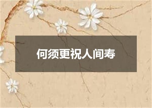 何须更祝人间寿