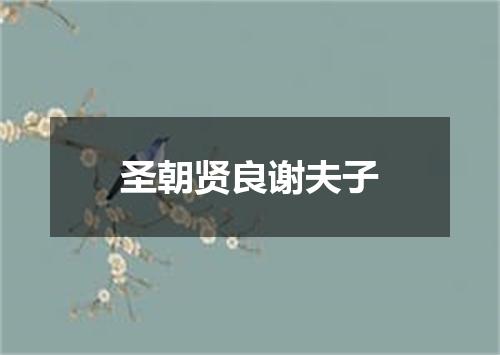 圣朝贤良谢夫子