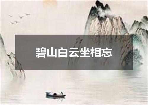碧山白云坐相忘