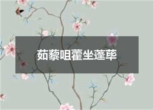 茹藜咀藿坐蓬荜