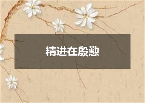 精进在殷懃