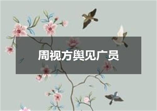周视方舆见广员