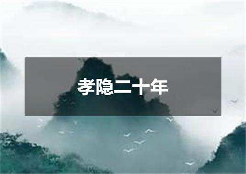 孝隐二十年