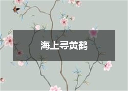 海上寻黄鹤