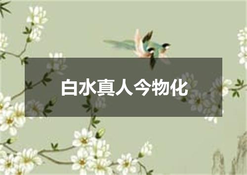 白水真人今物化