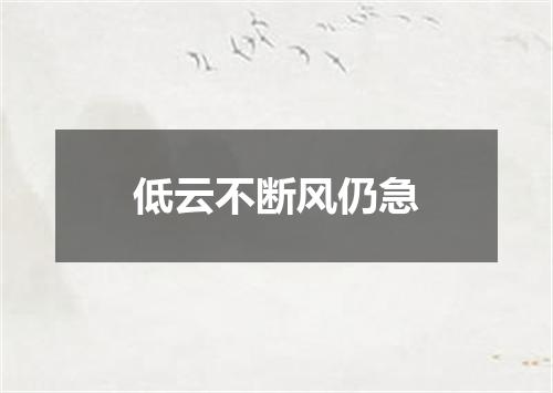 低云不断风仍急