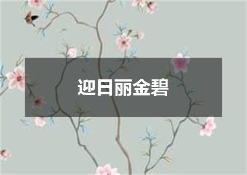 迎日丽金碧