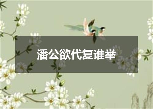 潘公欲代复谁举