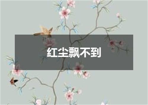 红尘飘不到