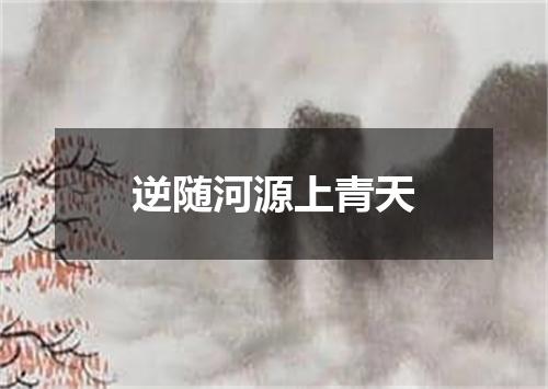 逆随河源上青天