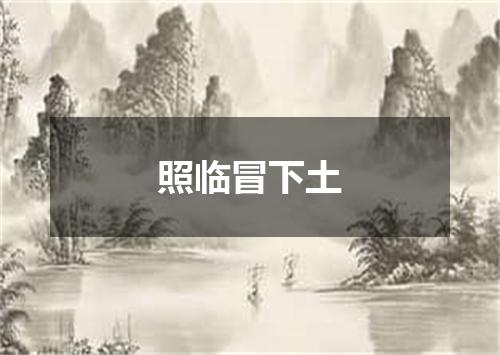 照临冒下土