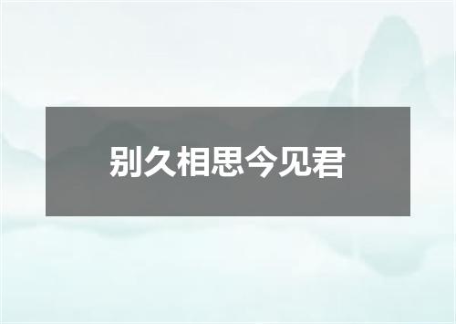 别久相思今见君