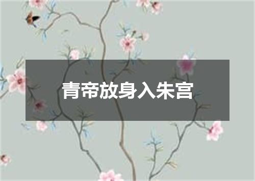青帝放身入朱宫