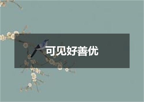 可见好善优