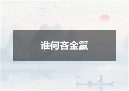 谁何吝金籯