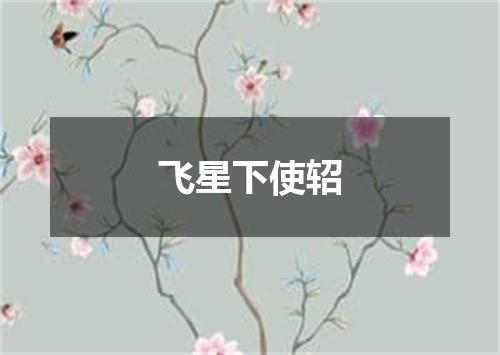 飞星下使轺