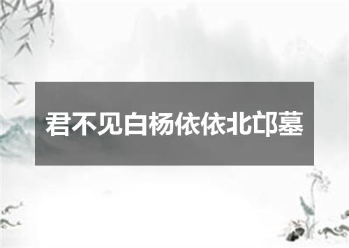 君不见白杨依依北邙墓