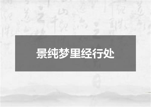 景纯梦里经行处