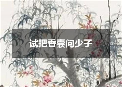 试把香囊问少子