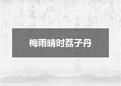 梅雨晴时荔子丹