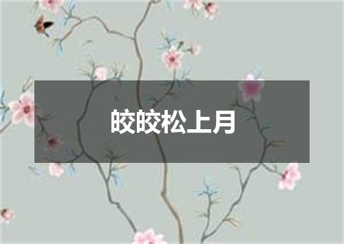 皎皎松上月