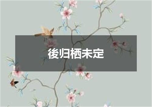 後归栖未定