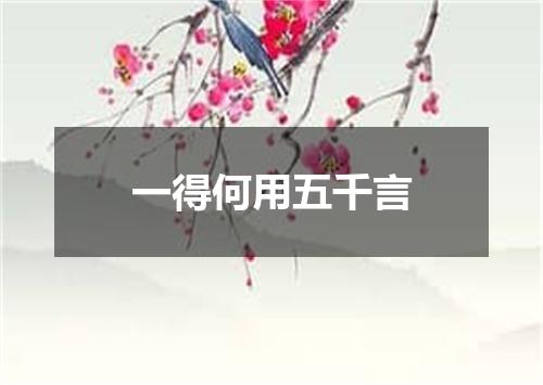 一得何用五千言