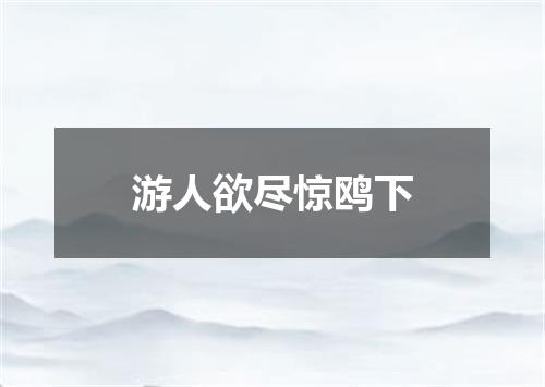 游人欲尽惊鸥下