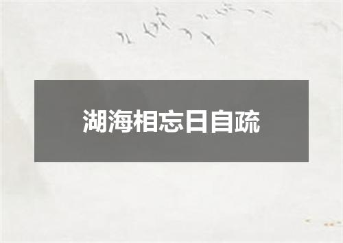 湖海相忘日自疏