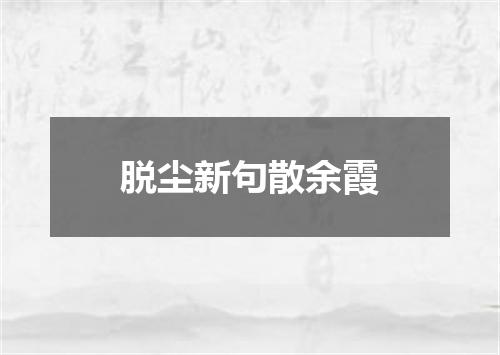 脱尘新句散余霞
