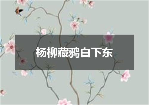 杨柳藏鸦白下东