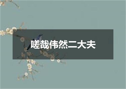 嗟哉伟然二大夫