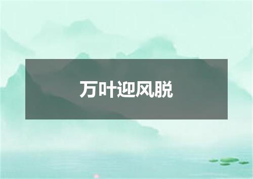 万叶迎风脱
