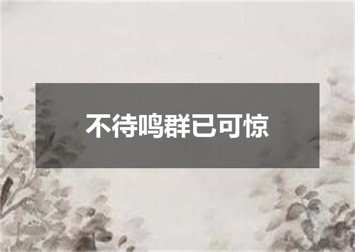 不待鸣群已可惊