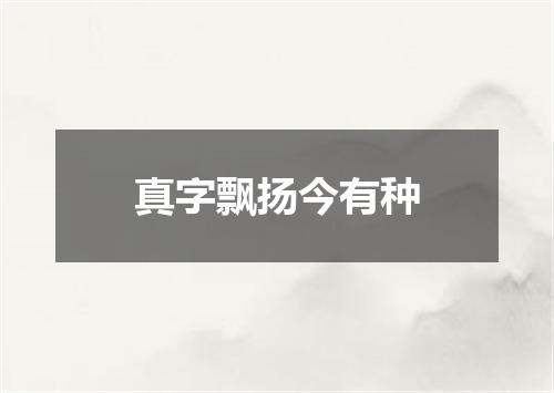 真字飘扬今有种