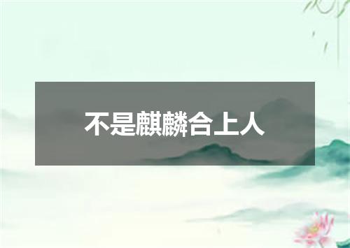 不是麒麟合上人