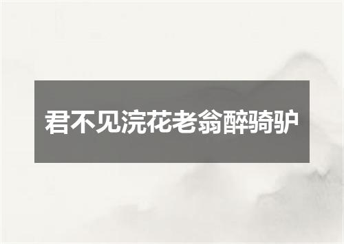 君不见浣花老翁醉骑驴