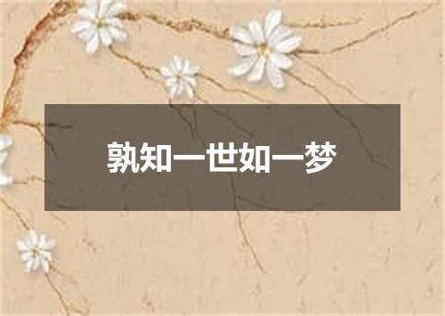 孰知一世如一梦