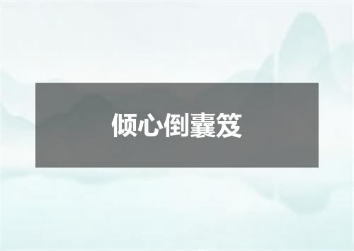 倾心倒囊笈