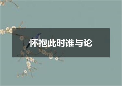 怀抱此时谁与论