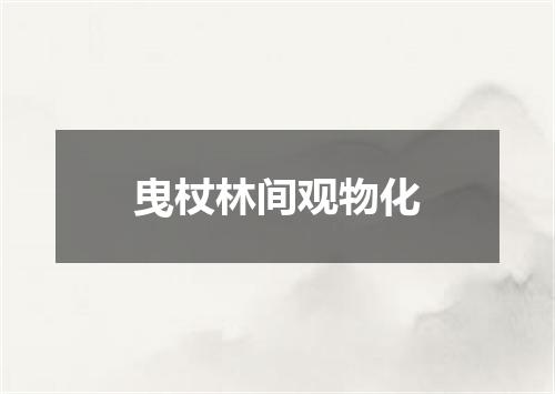 曳杖林间观物化