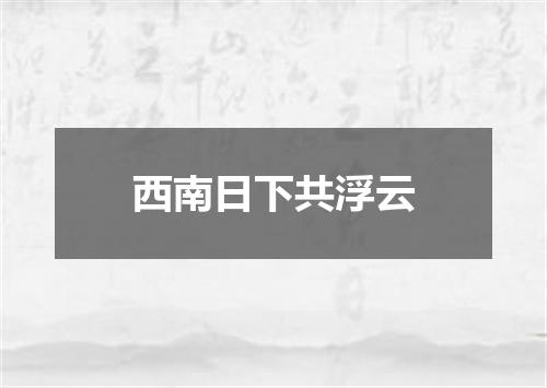西南日下共浮云